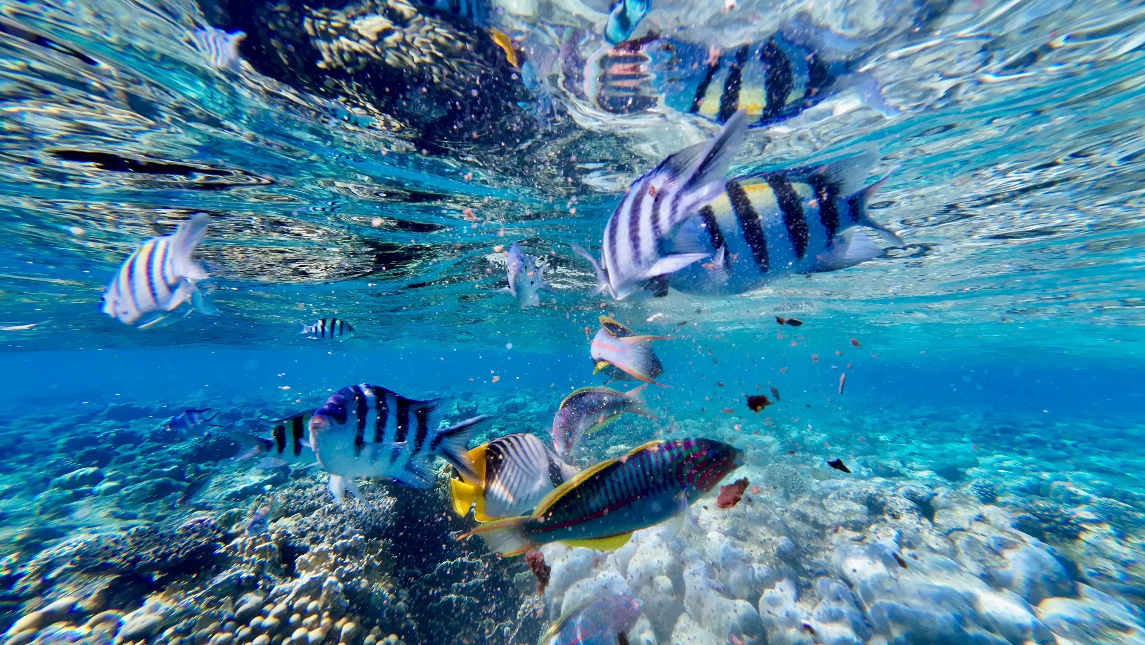 Deep sea fishing
